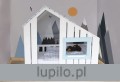 Picohouse 4.jpg